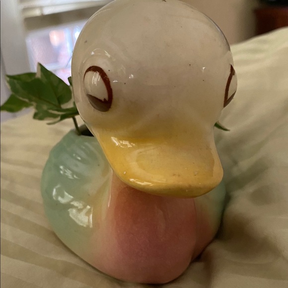 Other - Glass duck
